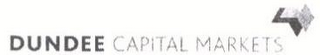 DUNDEE CAPITAL MARKETS logo