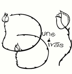 DUNE DIVAS logo