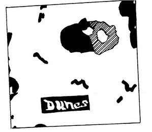 DUNES logo