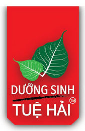 DUONG SINH TUE HAI logo