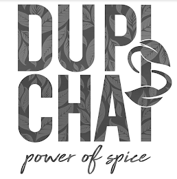 DUPISCHAI POWER OF SPICE logo