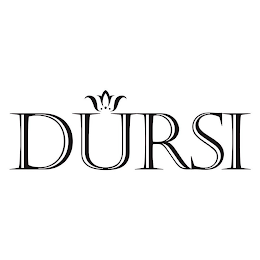 DURSI logo
