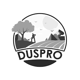 DUSPRO logo