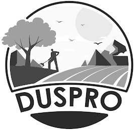 DUSPRO logo