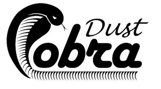 DUST OBRA logo