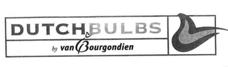 DUTCH BULBS BY VAN BOURGONDIEN logo