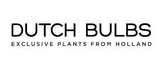 DUTCH BULBS EXCLUSIVE PLANTS FROM HOLLAND logo