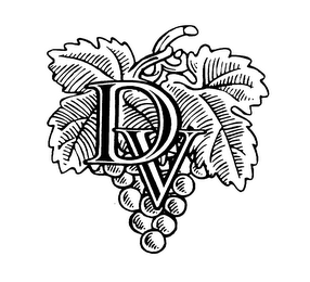DV logo