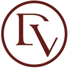 DV logo