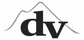 DV logo