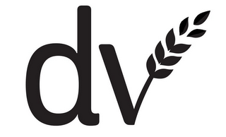 DV logo