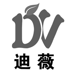DV logo