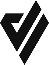 DV logo