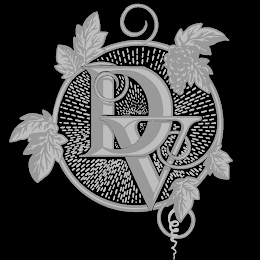 DV logo