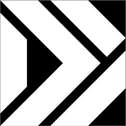 DV logo