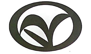 DV logo