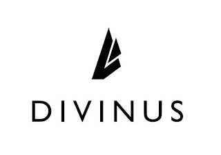 DV DIVINUS logo