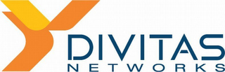 DV DIVITAS NETWORKS logo