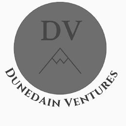 DV DUNEDAIN VENTURES logo