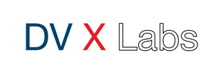 DV X LABS logo