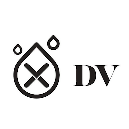 DV X VV logo