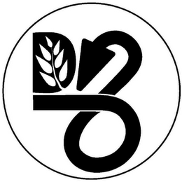 DV8 logo