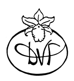 DVF logo