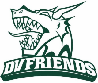 DVFRIENDS logo