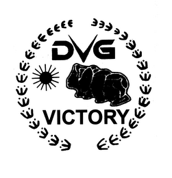 DVG VICTORY logo