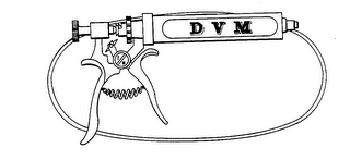 DVM logo