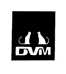 DVM logo
