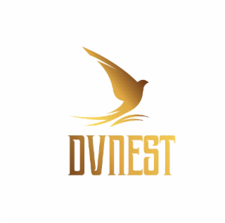 DVNEST logo