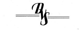 DVS logo