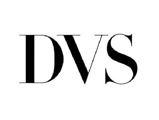 DVS logo