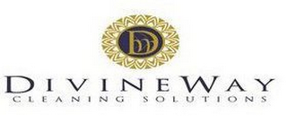 DW DIVINEWAY CLEANING SOLUTIONS logo