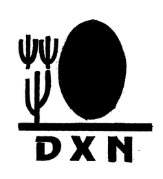 DXN logo