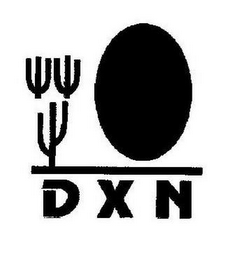 DXN logo