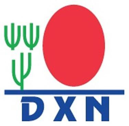 DXN logo