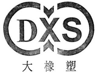 DXS logo