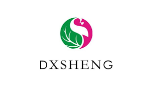 DXSHENG logo