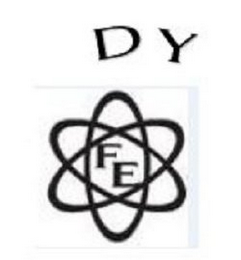 DY FE logo