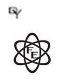 DY FE logo