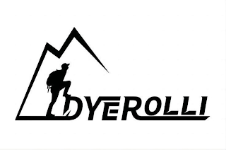 DYEROLLI logo
