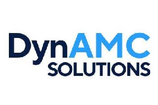 DYNAMC SOLUTIONS logo