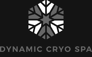 DYNAMIC CRYO SPA logo