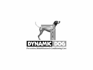 DYNAMIC DOG PREVENTION, REHABILITATION & CONDITIONING CARE logo
