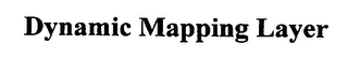 DYNAMIC MAPPING LAYER logo