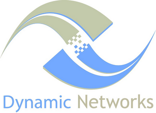 DYNAMIC NETWORKS logo