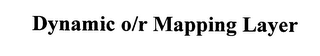DYNAMIC O/R MAPPING LAYER logo