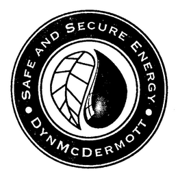 DYNMCDERMOTT SAFE AND SECURE ENERGY logo